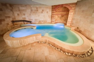 Maison Bérard - Bassin Spa