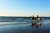 Domaine de Villers - Cheval - Plage Deauville à 12km du Domaine de Villers ©Delphine Barré Lerouxel - inDeauville