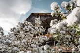 l'Hôtel Macchi & Spa - Chatel fleurs de neige ©l-©meyer