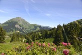 l'Hôtel Macchi & Spa - le mont de grange - chatel-©jfvuarand