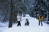 Hôtel Radiana & Spa - Morel hiver – à 26km de l’hôtel