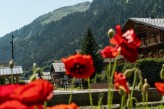 l'Hôtel Macchi & Spa - chatel-printemps-eté ©l-meyer