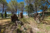 Domaine de l’Esterel - Dolmen