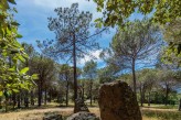 Domaine de l’Esterel - Dolmen