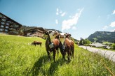 l'Hôtel Macchi & Spa - le Village de Chatel l'Eté ©l-meyer