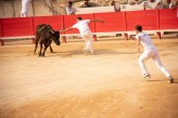 Course Camarguaise - Arènes de Nîmes à 24 km de l’hostellerie le Castellas-©Nîmes-Tourisme