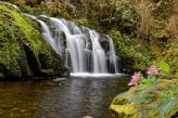 Hôtel la Jamagne & Spa - Cascade du Saut du Bouchot à 14km de l'hôtel ©Fabrice-Trombini