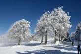 Hôtel la Jamagne & Spa - Neige Ski ©Fabrice-Trombini