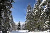 Hôtel la Jamagne & Spa - Neige Forêt ©Fabrice-Trombini