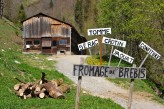Hôtel Radiana & Spa - Village Celliers à 18km de l’hôtel - Bergerie du Chézalet – Spécialité : Fromage de Brebis