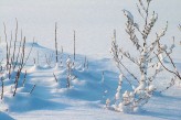 Hôtel la Jamagne & Spa - Vosges en hiver