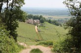 Dans les vignes en Côte Chalonnaise à 12km de l’hôtel Saint Georges à Chalon-sur-Saone ©otachalon