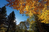 Hôtel la Jamagne & Spa - Cascade de Mérelle en Automne ©Fabrice-Trombini 