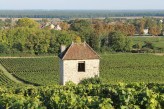 Cadole dans le vignoble de Givry à 17km de l’hôtel Saint-Georges à Chalon-sur-Saône ©otachalon