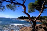 Domaine de l’Esterel - plage du val fleuri à 9km  de l’hôtel © jf-cholley