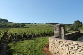Le vignoble de Givry à 19km de l’hôtel Saint-Georges à Chalon-sur-Saône ©otachalon