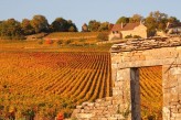 Le vignoble de Givry en automne à- 9km de l’hôtel Saint Georges à Chalon-sur-Saône ©otachalon