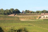 Le vignoble de Givry en automne à- 9km de l’hôtel Saint Georges à Chalon-sur-Saône ©otachalon