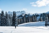 l'Hôtel Macchi & Spa - Ski de randonnée à Chatel