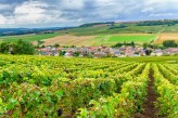 Château de Fère – Vignes en Champagne