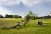Hôtel du Golf à Lumbres - Voiturette Golf