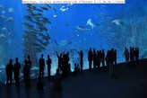 Hôtel du Parc à Hardelot - Nausicaà à 15 km