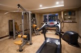 Hôtel les Violettes & Spa - Salle de Fitness