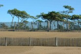 Hôtel Spa du Béryl - Dune et pins