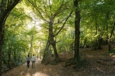Forêt de Brocéliande : le Val sans retour balade à 15km de l’hôtel le Roi Arthur @BERTHIER-Emmanuel