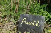 Manoir de la Poterie & Spa - Aneth