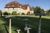 Manoir de la Poterie & Spa - Champignons