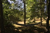 Manoir de la Poterie & Spa - Hamac