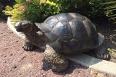 Manoir de la Poterie & Spa - Tortue
