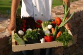 Les Domaines de Saint Endréol - Caisse de Légumes