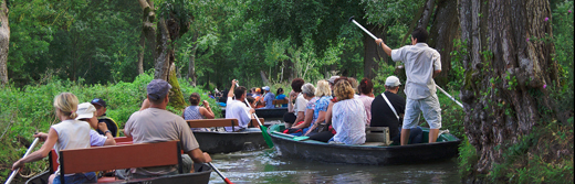 marais poitevin