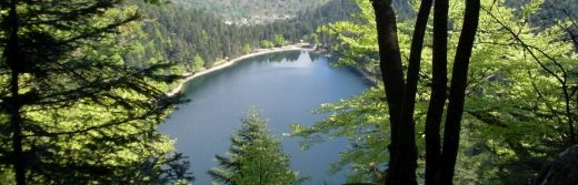 hotel la Jamagne vue Lac 