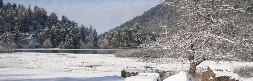 hotel la Jamagne Lac de Retournemer 