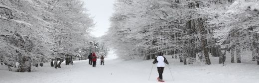 hotel la Jamagne skier dans les vosges