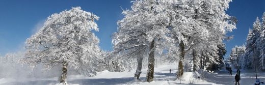 hotel la Jamagne neige et ski dans les vosges