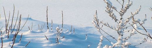 hotel la Jamagne les Vosges en Hiver