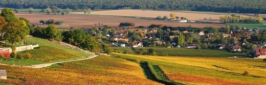 Le vignoble de Givry en automne -a-19km de l-hotel-Saint-Georges-Chalon-sur-Saone