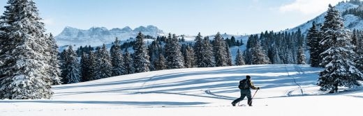 Hotel-Macchi-ski-de-randonnée chatel-quartier-slongo-domaine