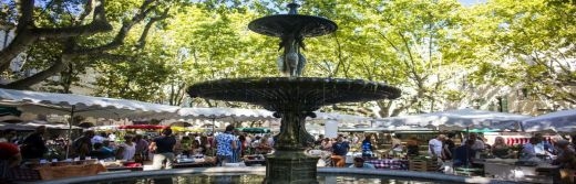 hostellerie le castellas - Marché aux herbes Uzes a 12km