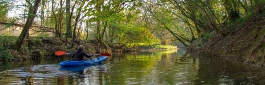 hotel-yeuse.le-fleuve-Charente-canoé-Kayak©Destination-Cognac