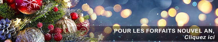 Forfaits nouvel an Hotel Saint Georges & spa